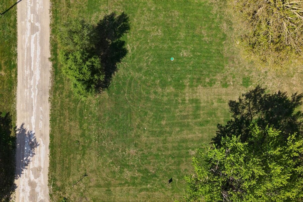 Picture 3
