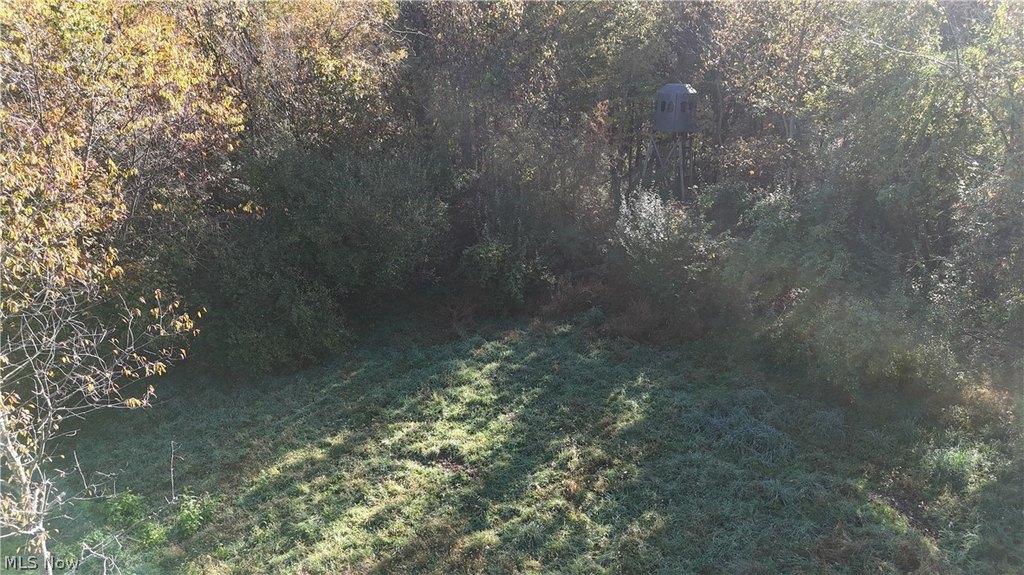 Picture 19