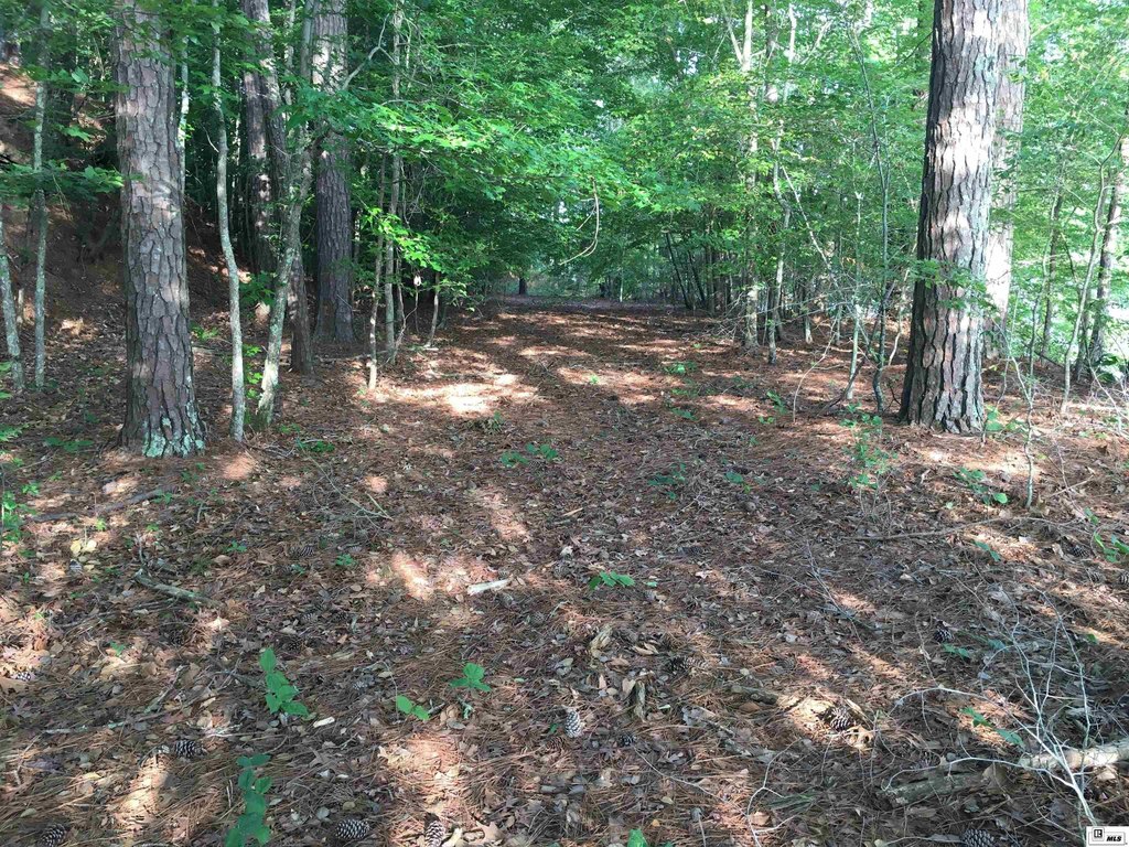 Picture 15