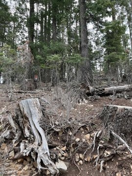 LAND - Cloudcroft, NM