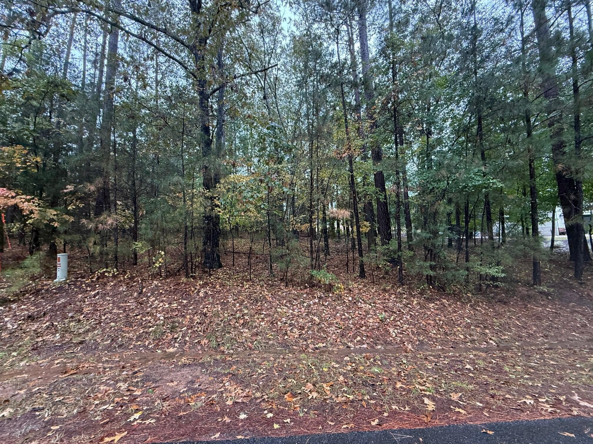 Golf Course Lot in McCormick