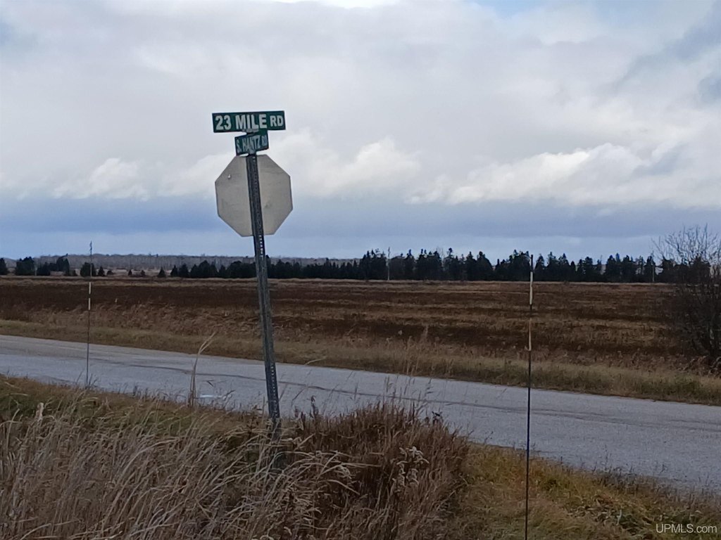 Picture 21