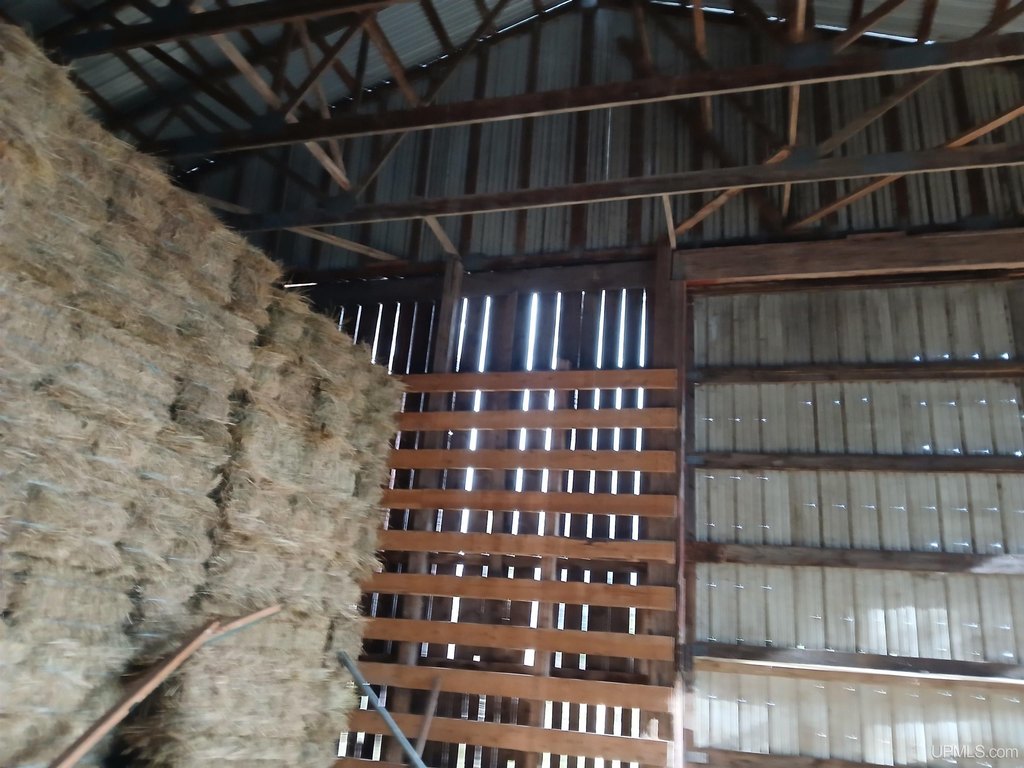 Picture 14