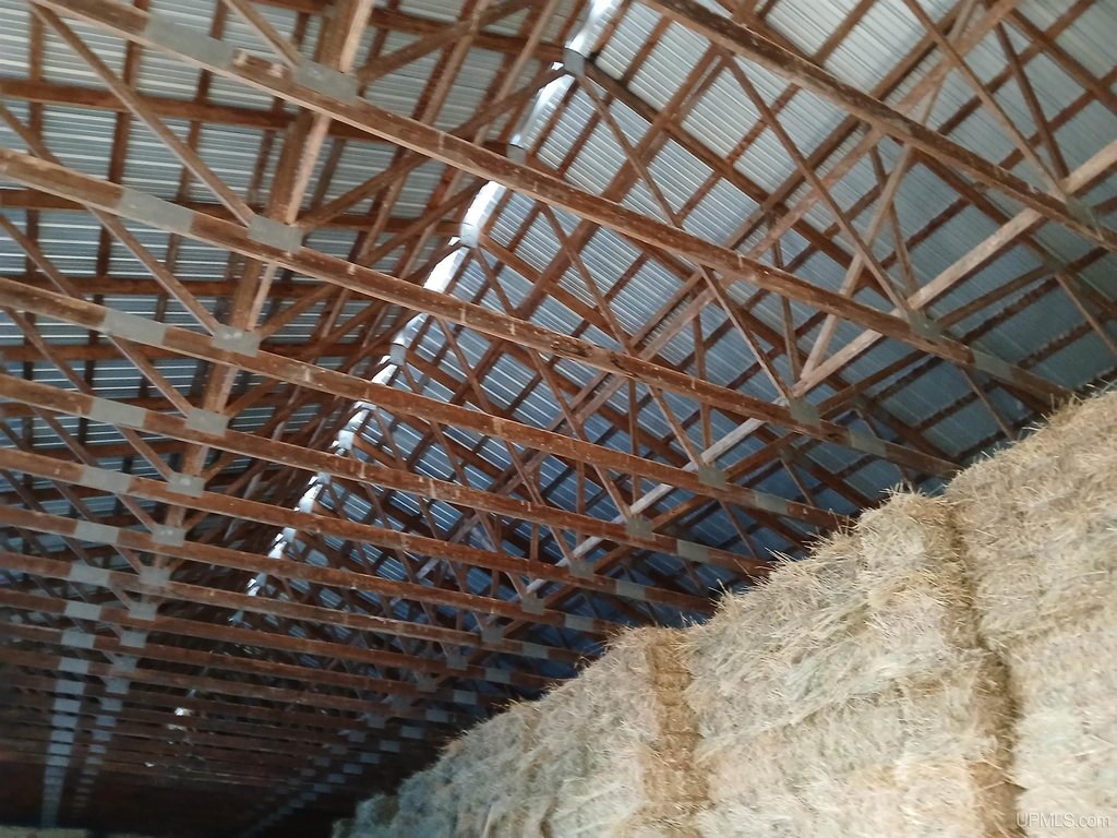 Picture 13