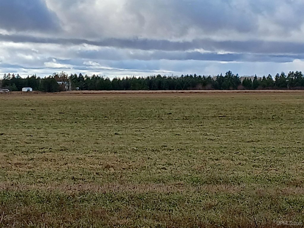Picture 22