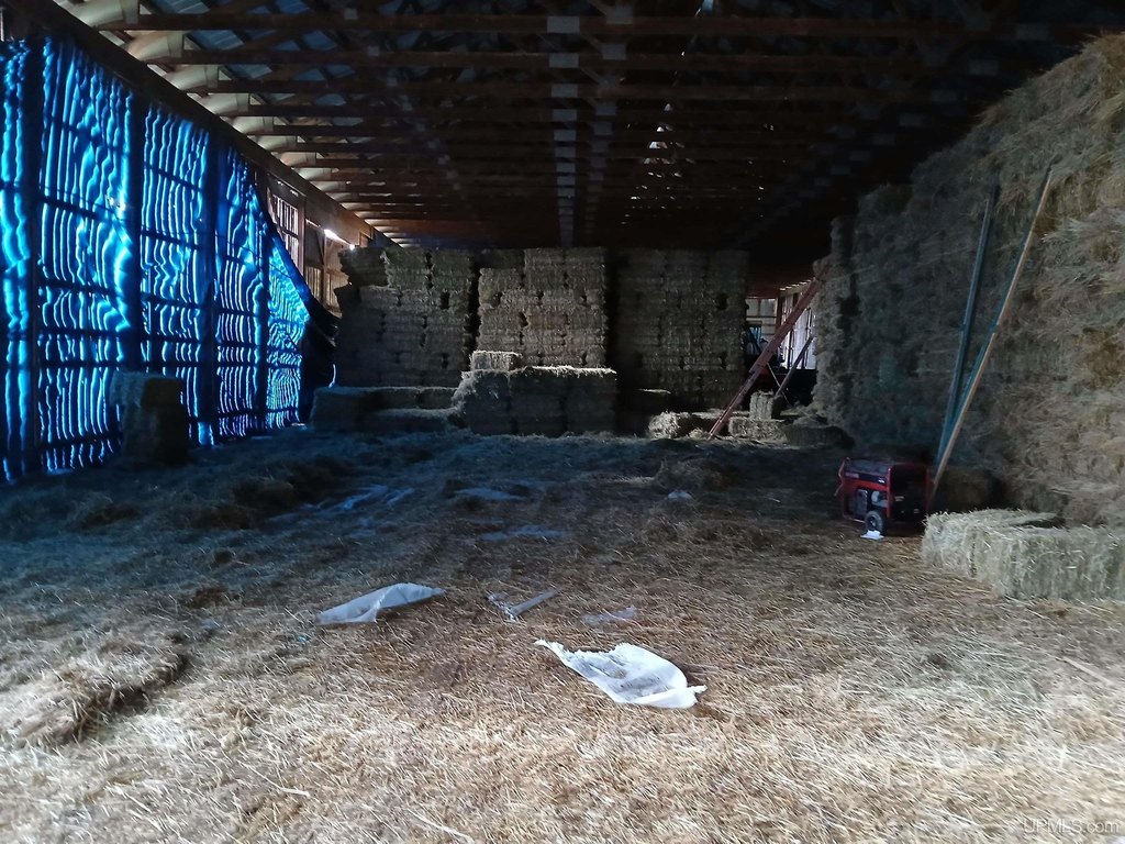 Picture 12