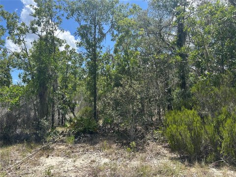 LAND - ARCHER, FL