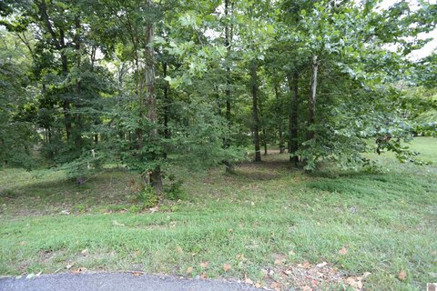 Lakefront Subdivision Homesite