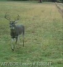 Picture 39