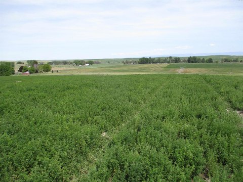 10.42 Acres in Touchet, WA