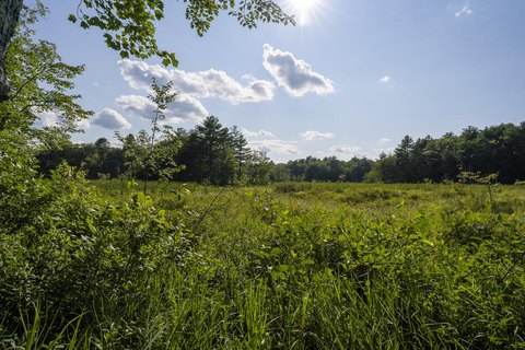 Land, Damariscotta, ME