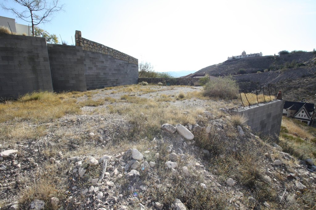 Picture 17