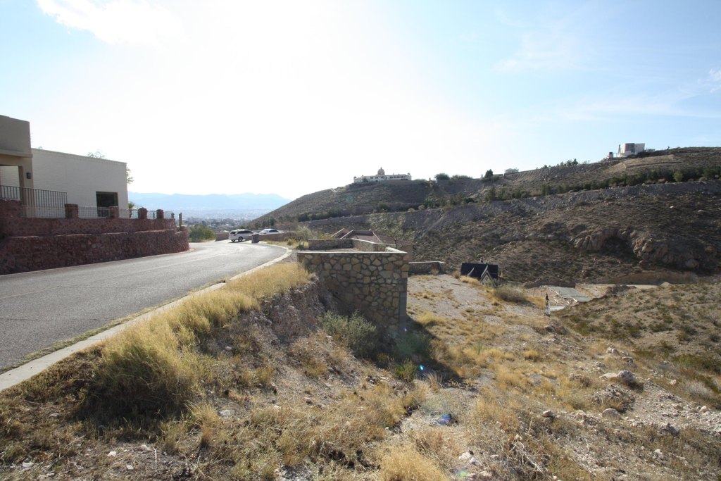 Picture 6