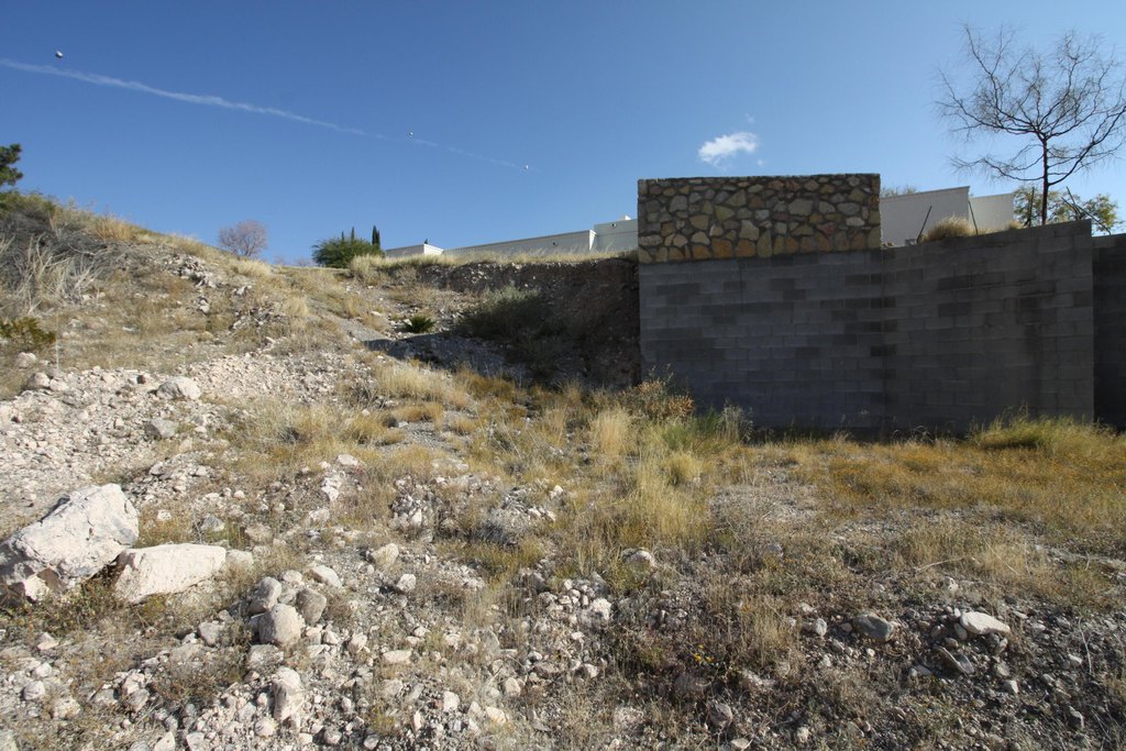 Picture 15