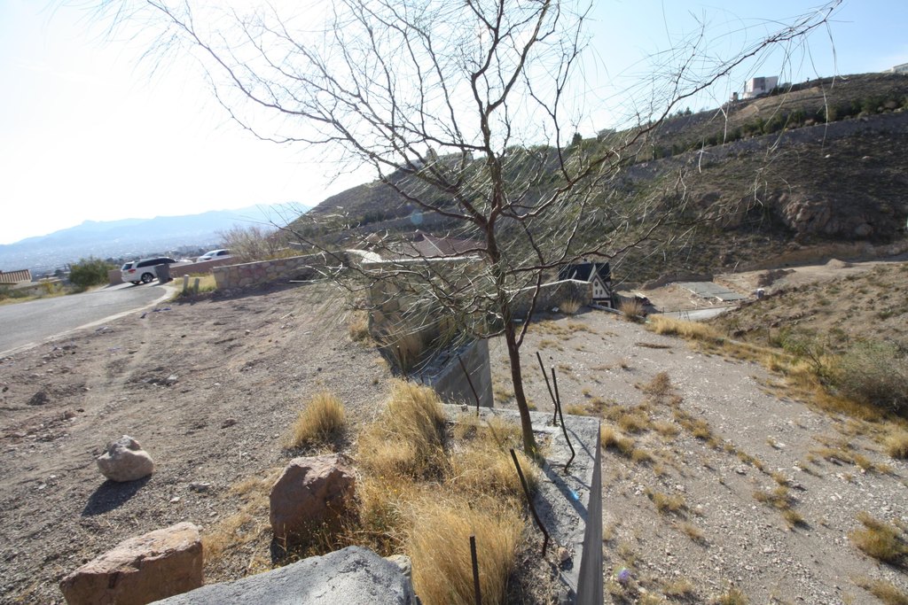 Picture 23