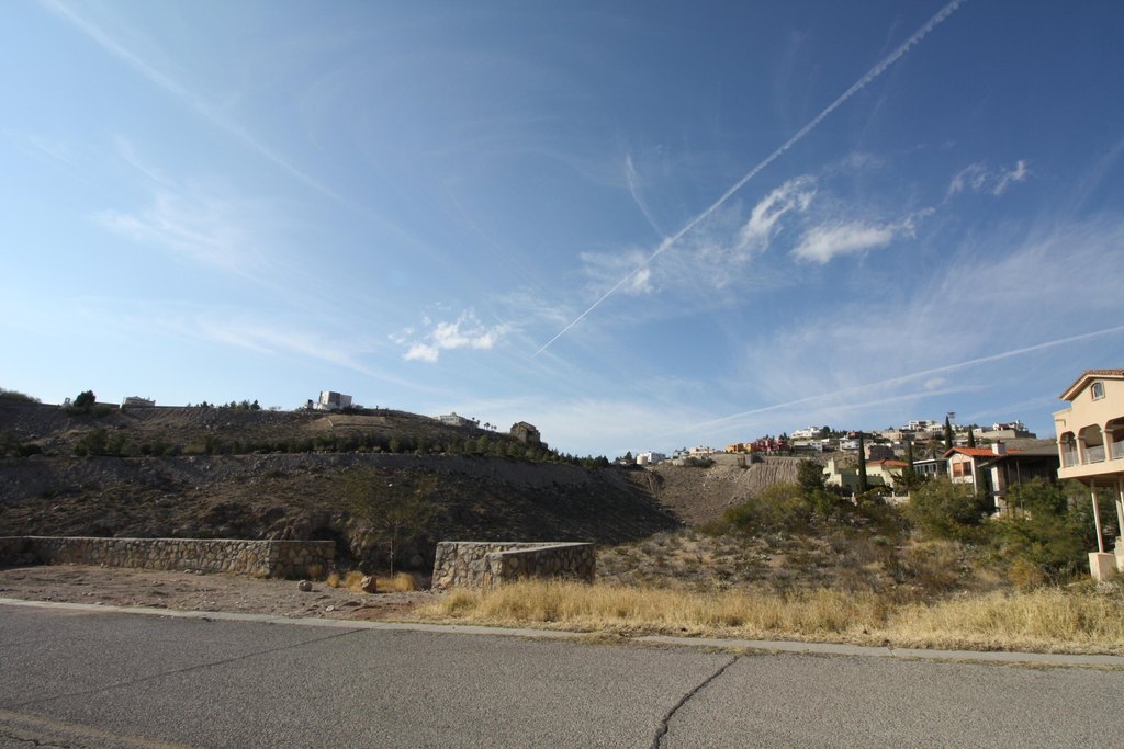 Picture 5