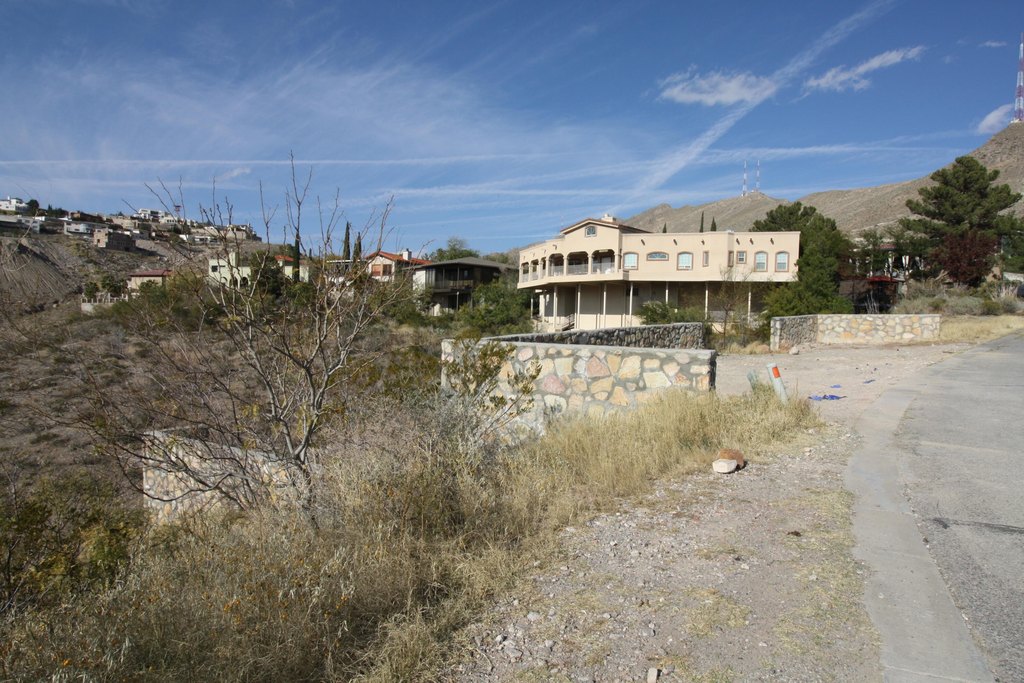 Picture 7