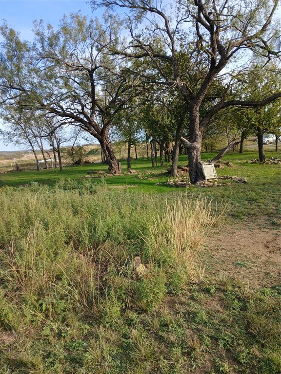 Picture 3