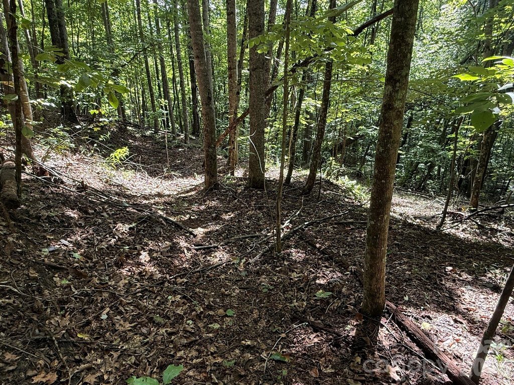 Picture 23