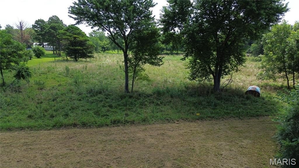 Picture 8
