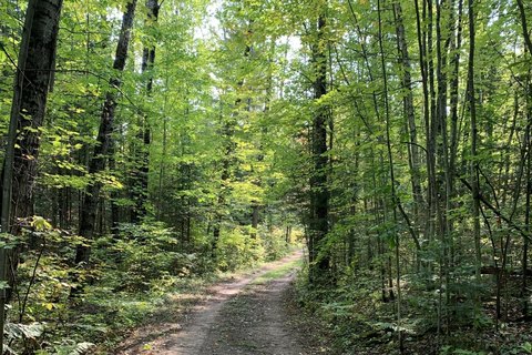 Land Near Chequamegon National Forest