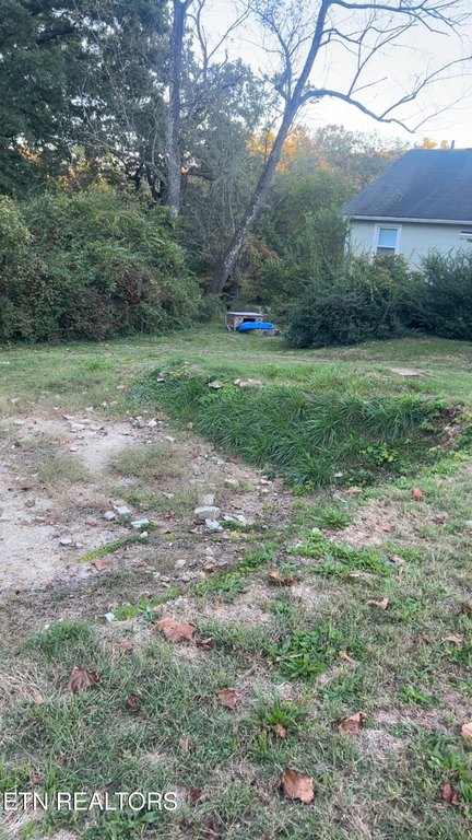 Picture 4