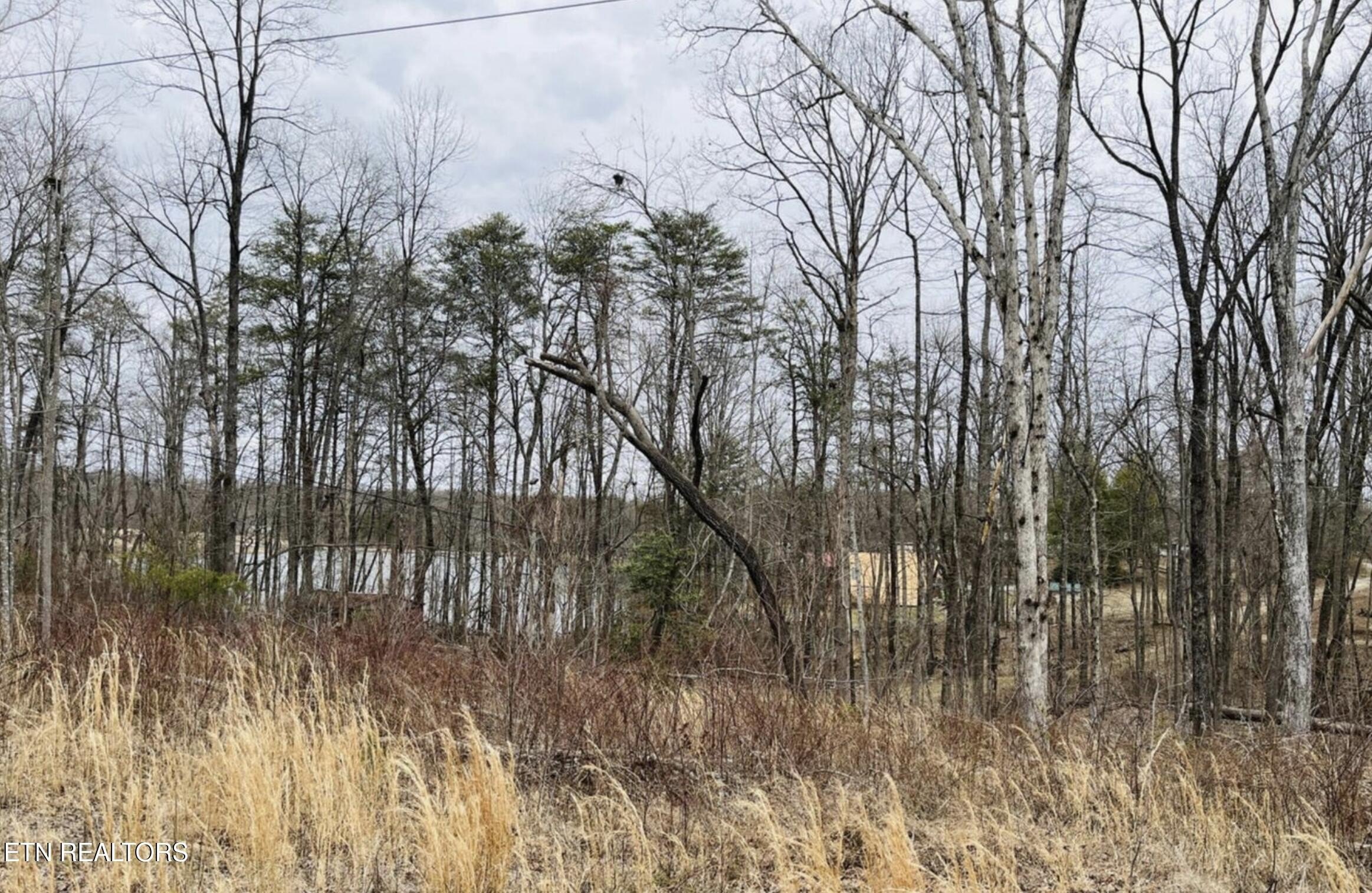 Unrestricted Lake View Lots