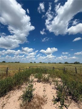 LAND - Encino, TX