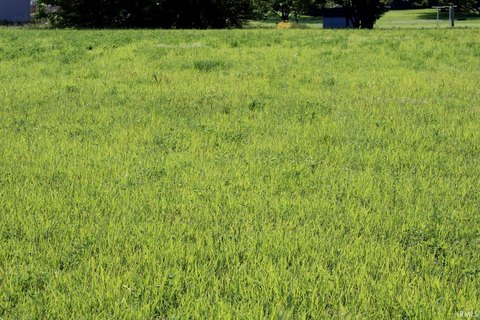 Residential Land in Princeton, Indiana