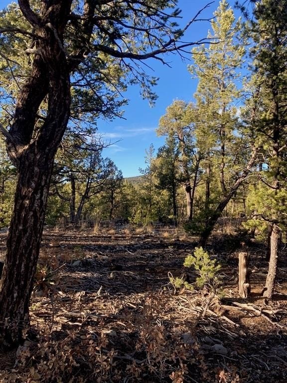 Wooded Lot in Gated Community