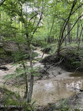 LAND - Brandon, MS