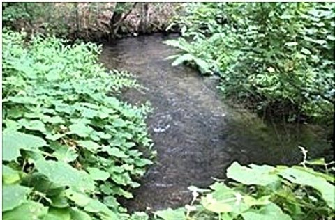 Buildable Land with River Frontage