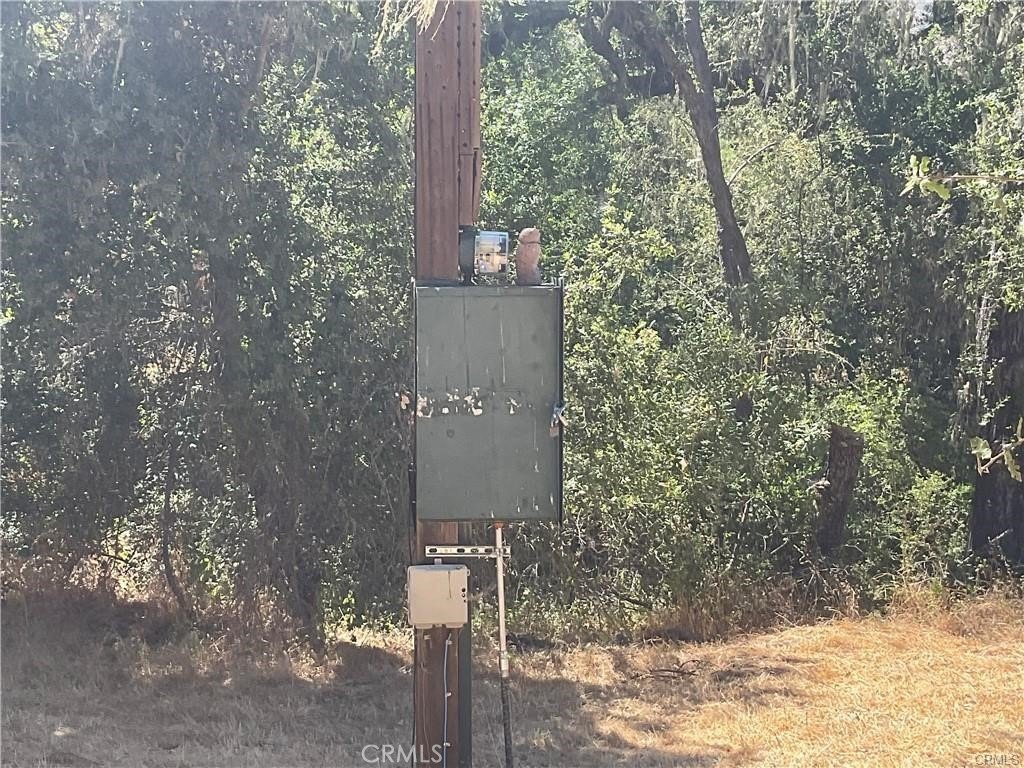 Picture 12