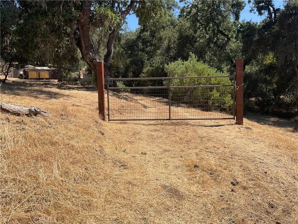 Picture 3