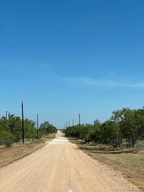 Picture 18