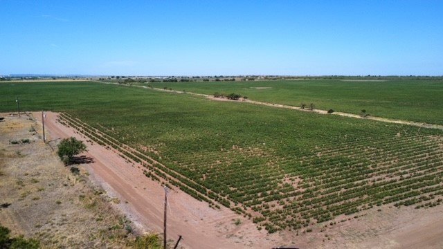 Picture 19