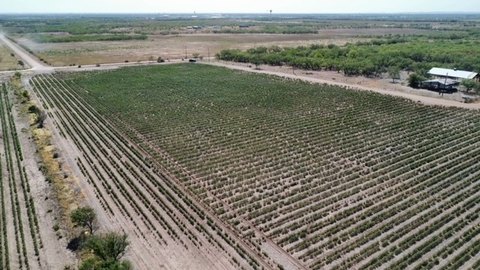 Agricultural Land Tract