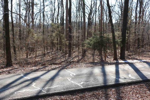 Fairfield Bay Lakeside Golf Lot
