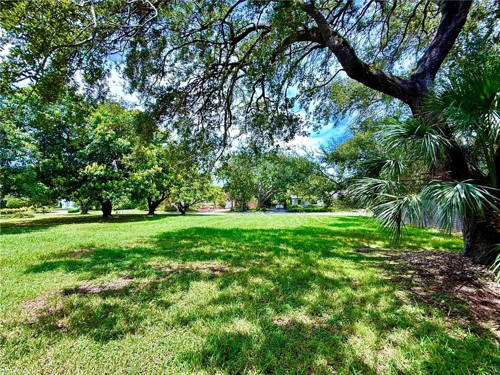 Picture 16