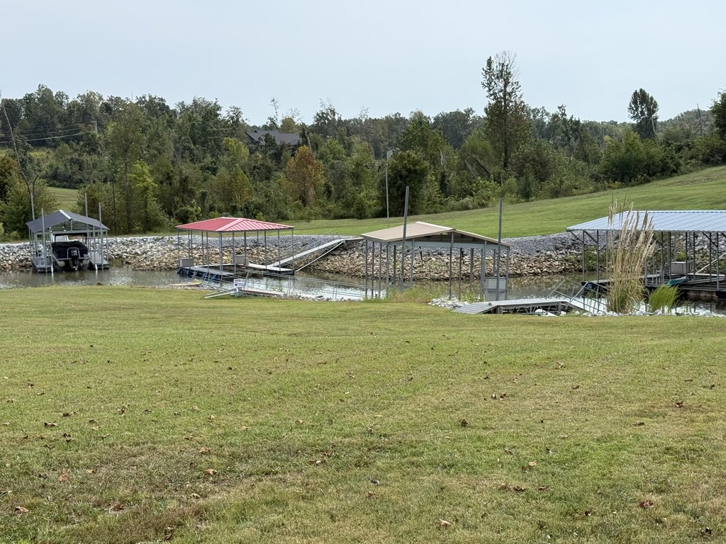 Picture 4