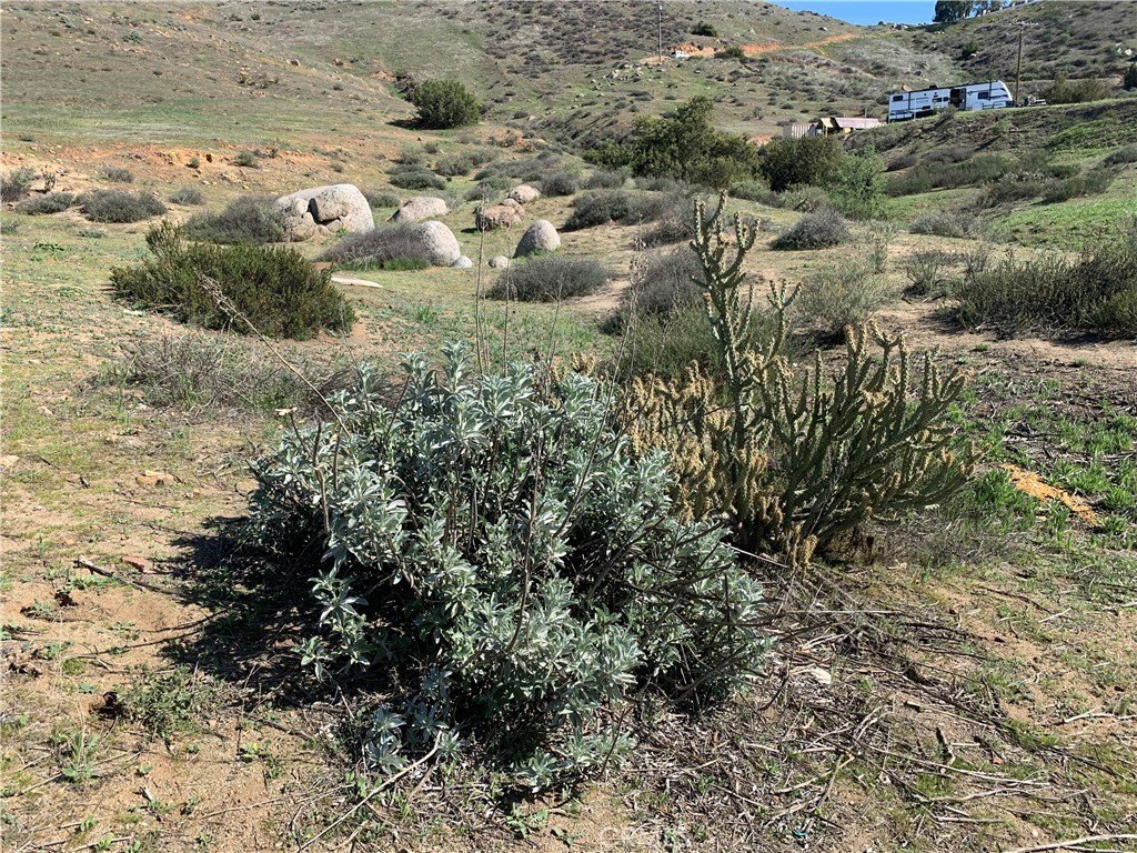 Picture 31