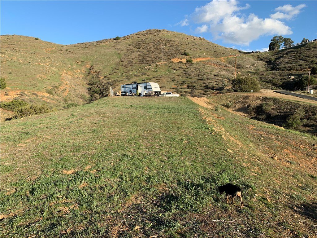 Picture 23