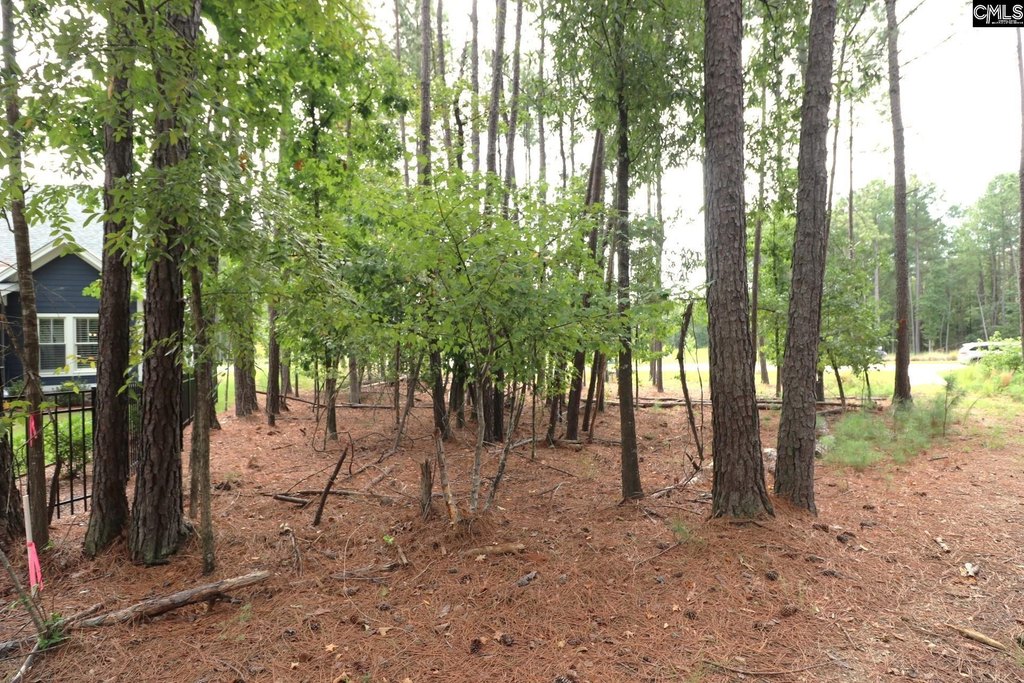 Picture 19