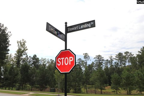 LOTS AND ACREAGE, Prosperity, SC