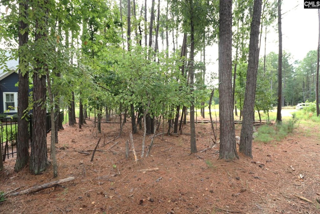 Picture 31