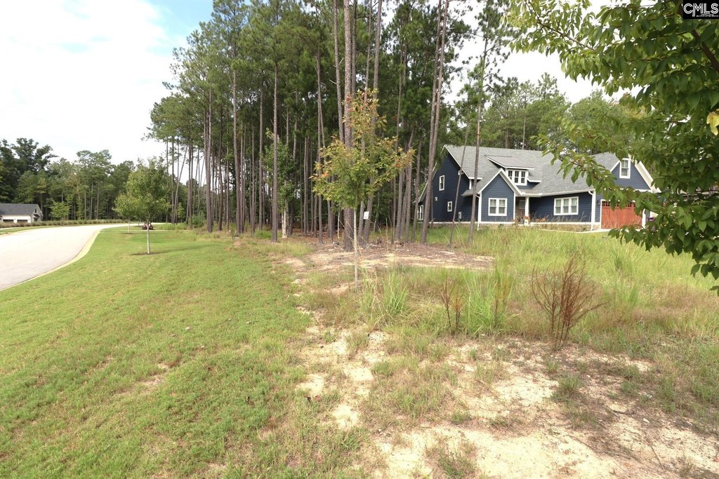Picture 10