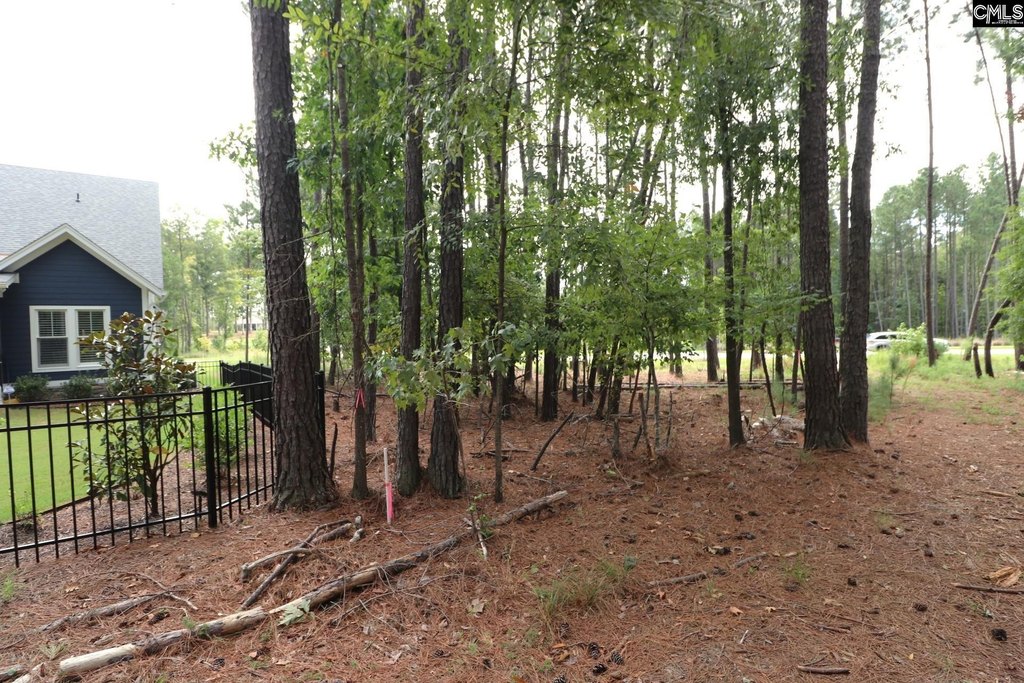 Picture 30