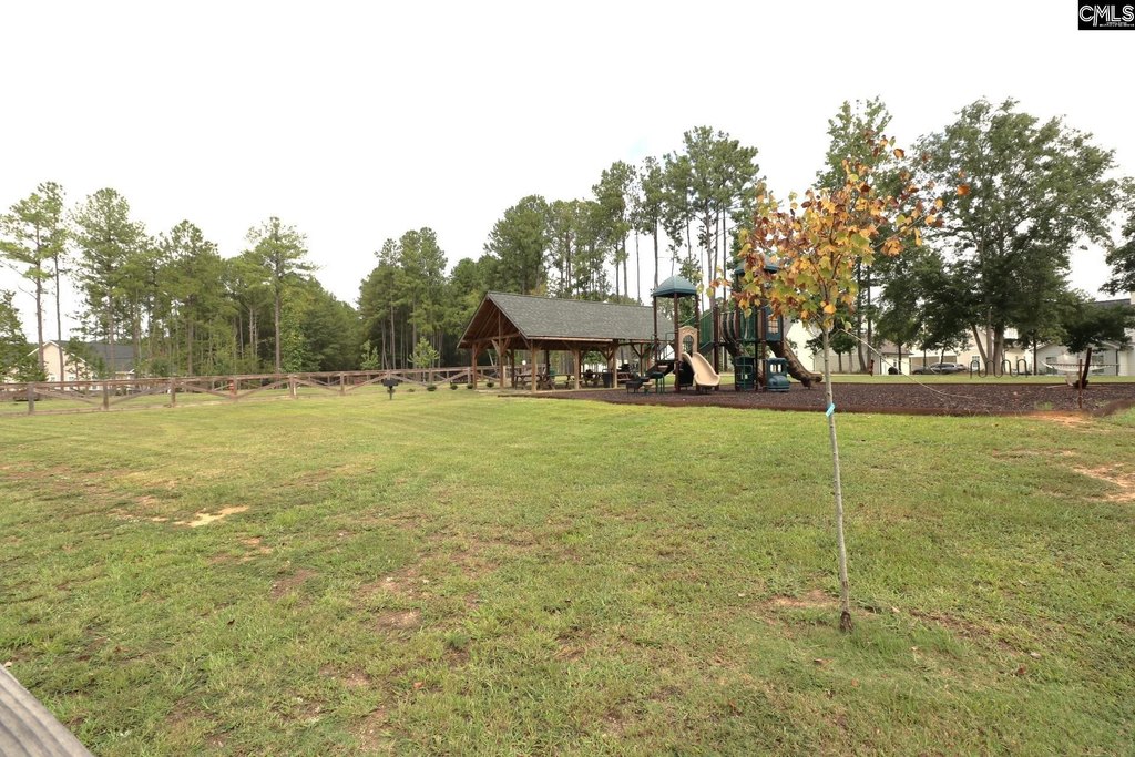 Picture 24