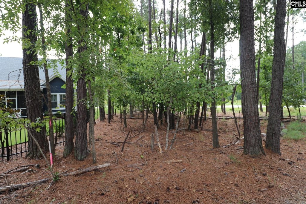 Picture 18