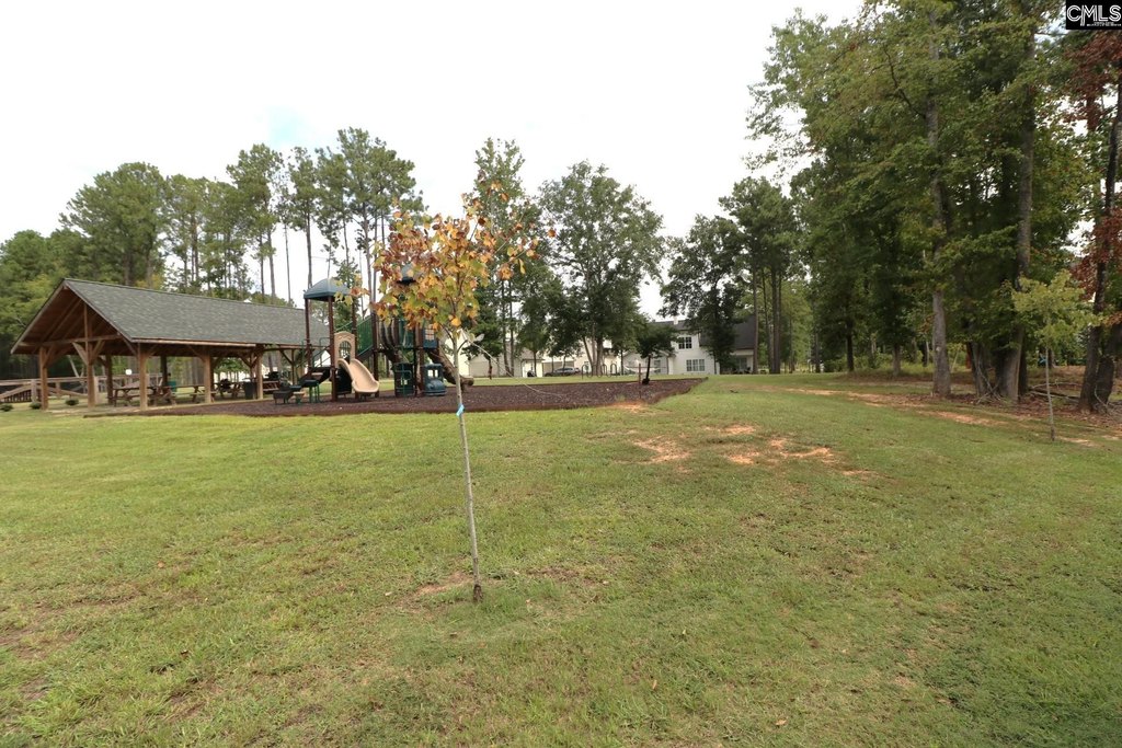 Picture 25